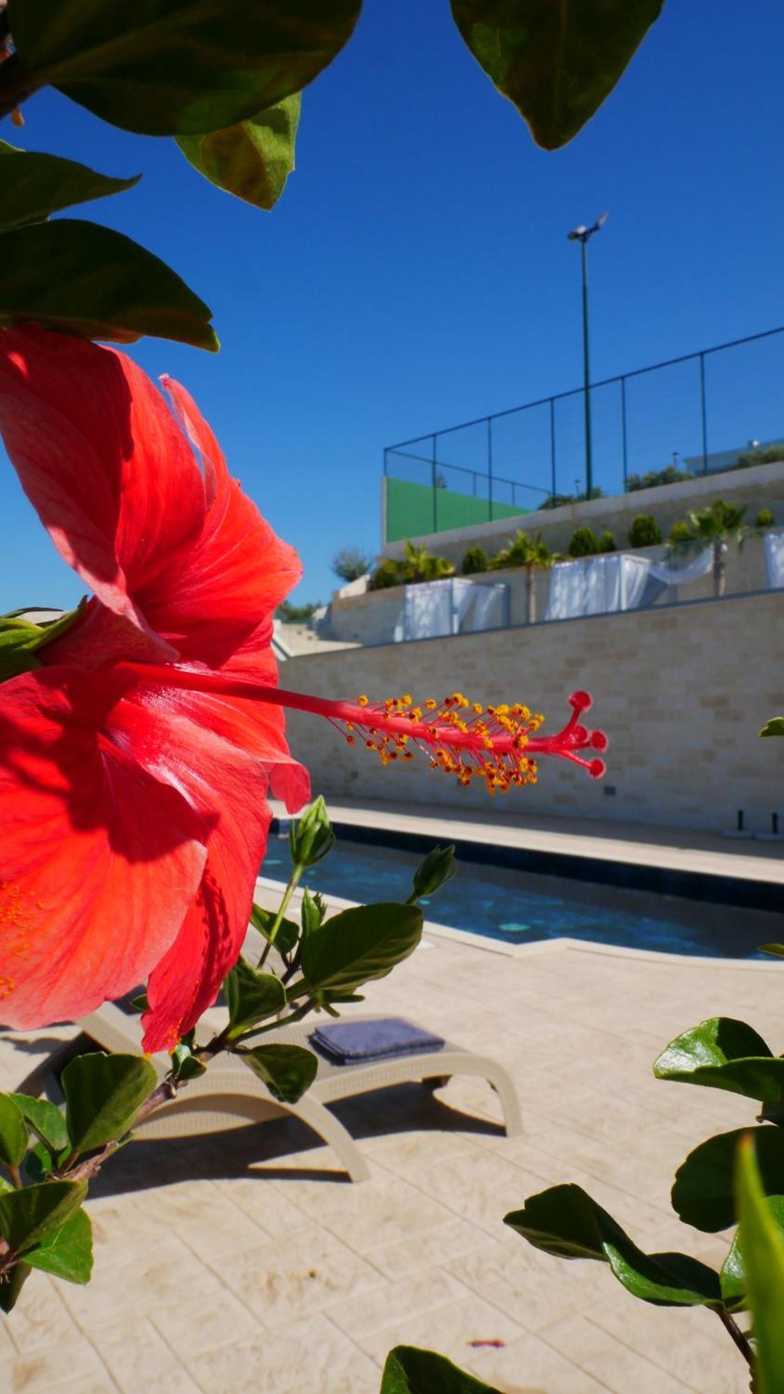Amour Relax Hotel Almyrida  Exterior photo